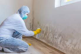 Best Industrial Mold Remediation  in Owenton, KY