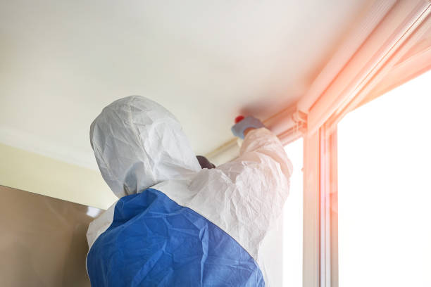 Why You Should Choose Our Mold Remediation Services in Owenton, KY